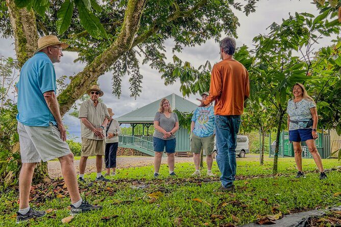 Craft Chocolate Tasting and Farm Experience on the Big Island - What to Keep in Mind