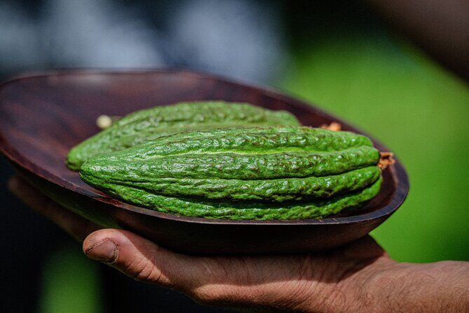 Craft Chocolate Tasting and Farm Experience on the Big Island - Who Will Love This Tour?