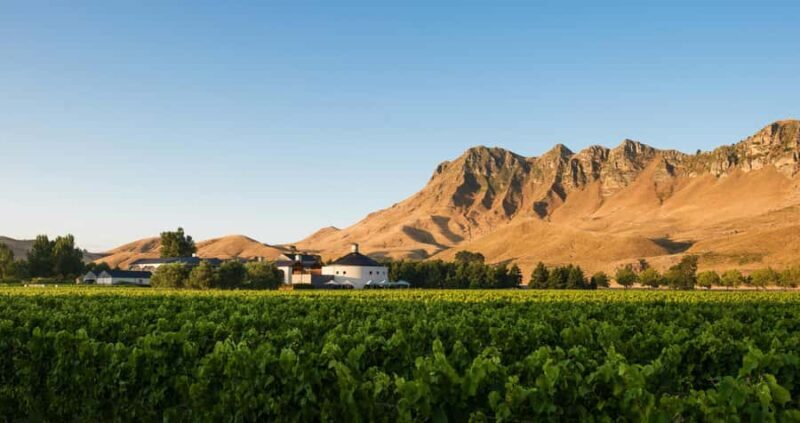 Craggy Range Deluxe, x2 winery tastings + Te Mata Peak - An In-Depth Look at the Experience