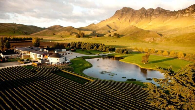 Craggy Range Deluxe, x2 winery tastings + Te Mata Peak - The Sum Up