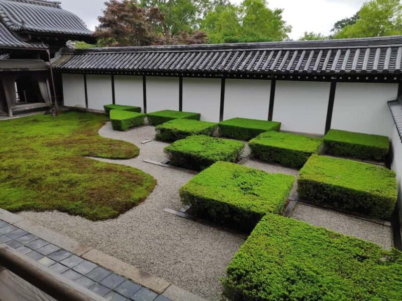 Craig's Kyoto Private Luxury Alphard Tour / The Early Riser - Why Choose This Tour?