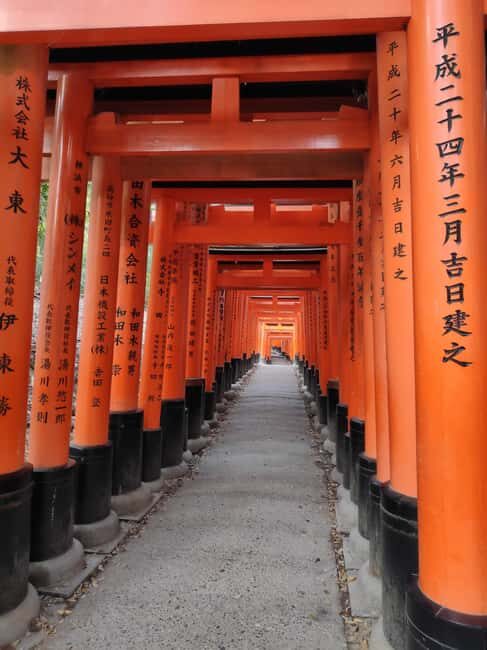 Craig's Kyoto Private Luxury Alphard Tour / The Early Riser - FAQs