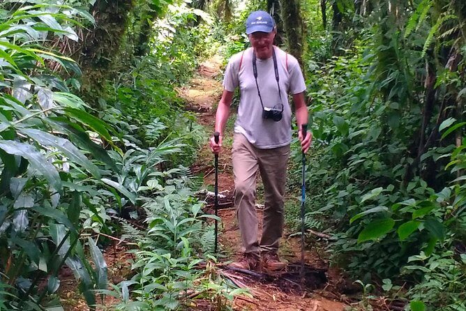 Crater Lake Hike and Swim - An In-Depth Look at the Samoa Crater Lake Hike and Swim Experience