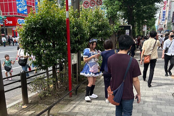 Crazy about Anime! Private Full Day Tokyo Manga Anime Tour by Chartered Vehicle - The Sum Up