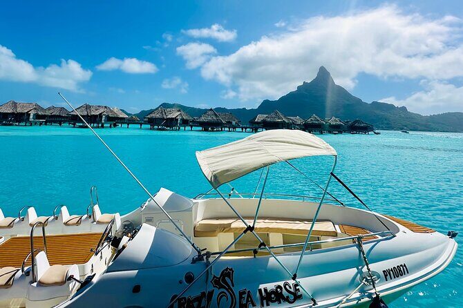 Crazy sea horse Bora Bora Comfortable boat, snorkeling and lunch - Who Will Love This Tour?