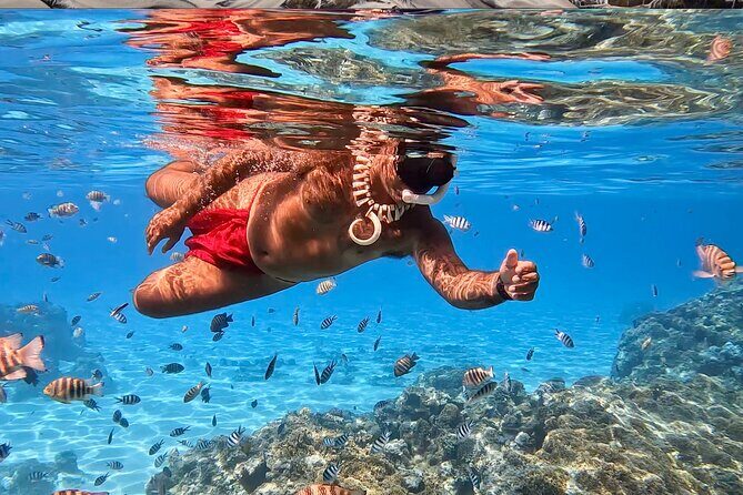 Crazyseahorseborabora Comfortable boat , sensational snorkeling . - Snorkeling Stops: A Close Encounter with Nature