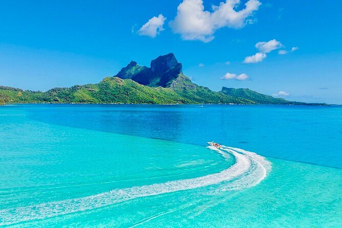 Crazyseahorseborabora Comfortable boat , sensational snorkeling . - Price and Value