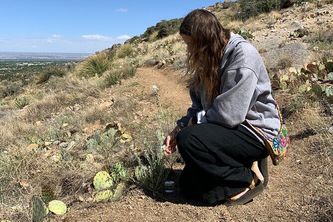 Create Energetic Flower Essences and Reconnect with Nature - Key Points