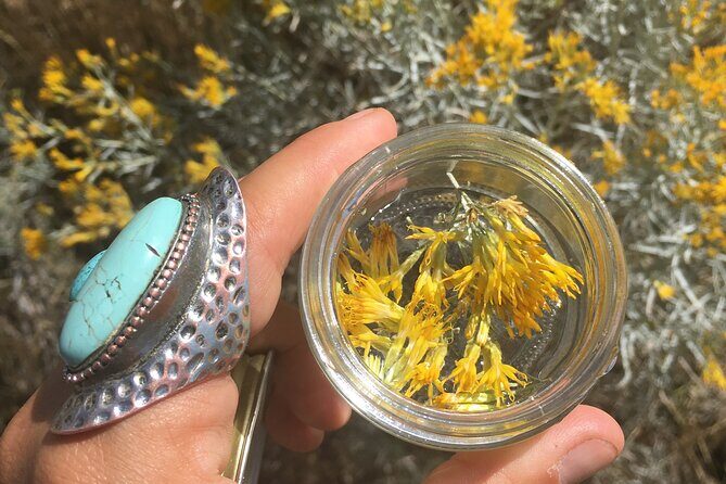Create Energetic Flower Essences and Reconnect with Nature - What Travelers Are Saying (Based on Feedback)