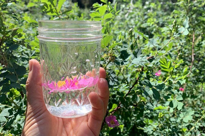 Create Energetic Flower Essences and Reconnect with Nature - Analyzing the Value