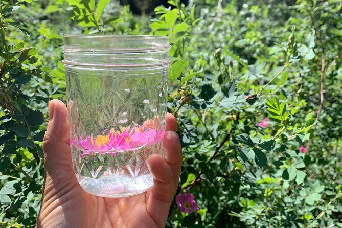 Create Energetic Flower Essences and Reconnect with Nature - Who Will Love This Tour?
