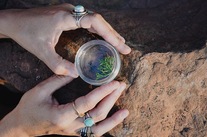 Create Energetic Flower Essences and Reconnect with Nature - The Sum Up