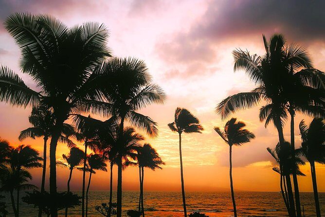 Creative Soul Scavenger Hunt( Kona Big island Hawaii) - A Genuine Look at the Creative Soul Scavenger Hunt