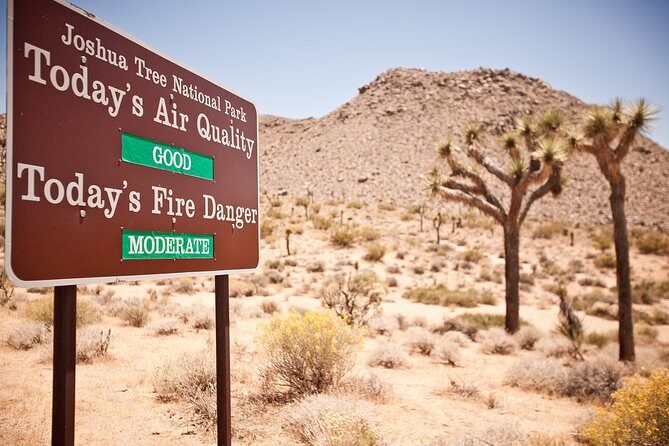 CreativeSoul ScavengerHunt(Hidden Valley,Joshua Tree)Remote Host - A Deep Dive into the Joshua Tree Scavenger Hunt Experience