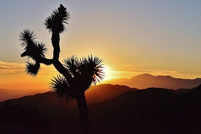 CreativeSoul ScavengerHunt(Hidden Valley,Joshua Tree)Remote Host - The Sum Up: Who Should Consider This?