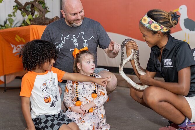 Creatures of the Night - ZooTampa at Lowry Park - Why This Experience Offers Value