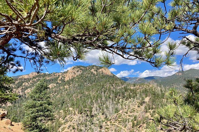 Creek to Peak Hike to Mt. Cutler in Colorado Springs - In The Sum Up