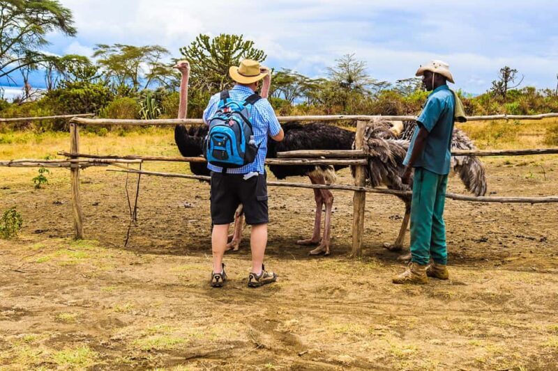 Crescent Island and Lake Naivasha: A Walking Safari - Key Points