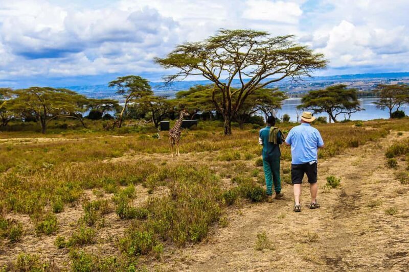 Crescent Island and Lake Naivasha: A Walking Safari - An Authentic Day in Kenya’s Wilderness