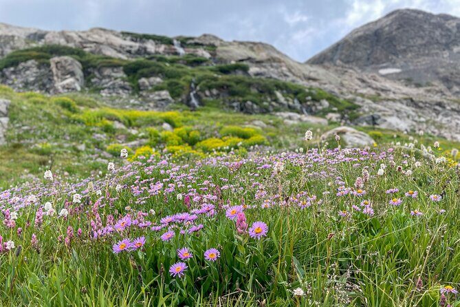 Crested Butte via Cottonwood Pass Private Colorado Adventure Tour - Exploring Crested Butte
