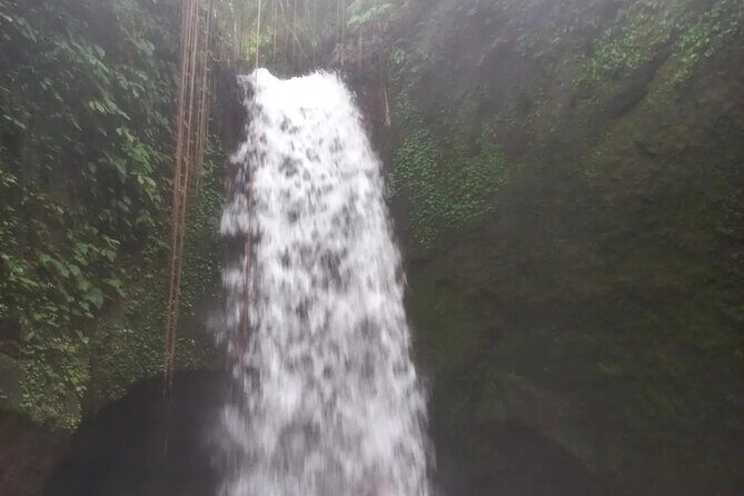 CRETYA Ubud infinity Pool + Hidden Water fall + Water Temple Tour - Who This Tour Is Perfect For