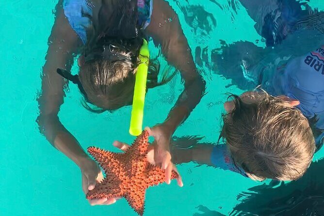 Cristal Speed boat, Snorkeling, Beach Tour & Lunch St Maarten - Experience Overview: A Full Day of Island-Hopping Fun