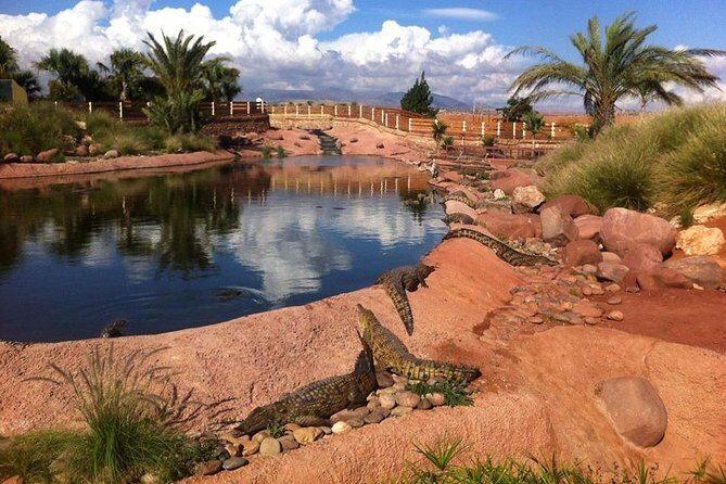 Croco & Anaconda parc Agadir - An In-Depth Look at Croco & Anaconda Park