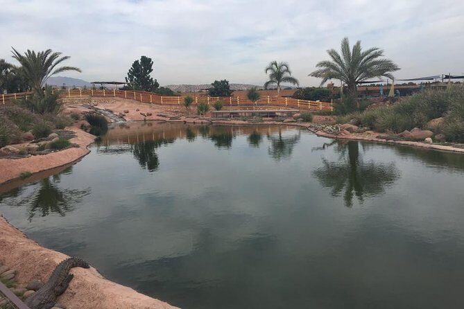 Croco & Anaconda parc Agadir - The Sum Up
