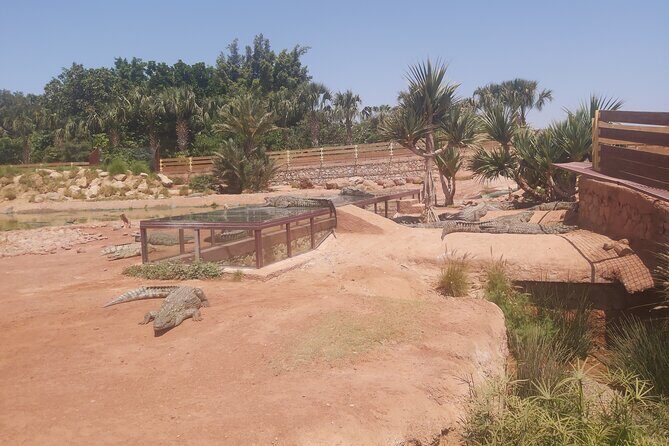 Crocodil Park transport and entrance ticket Crocoparc Included - Who Will Enjoy This Tour?