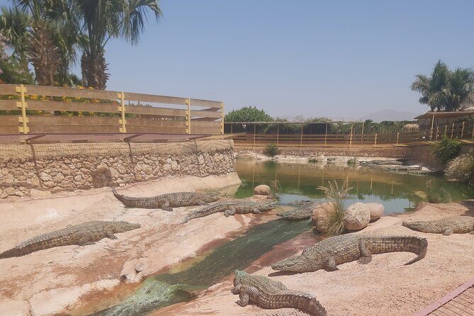 Crocodil Park transport and entrance ticket Crocoparc Included - FAQ