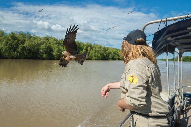 Crocodile Jumping Boat Cruise with Transfer from Darwin - FAQs