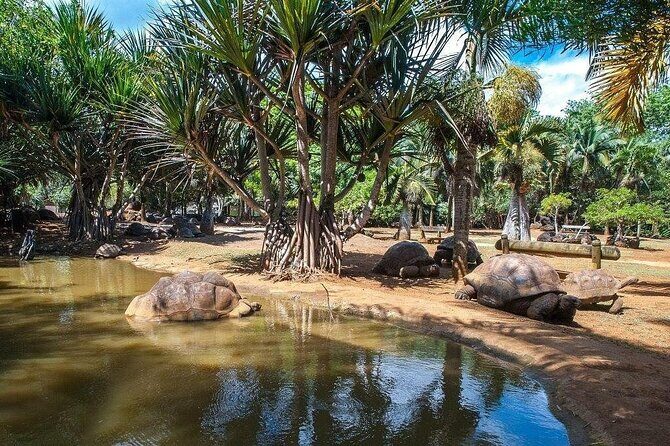 Crocodile Nature Park - What Makes This Tour Stand Out?