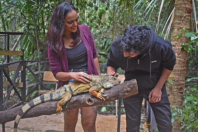 Crocodile Nature Park - Insights from Reviews: Authentic Experiences