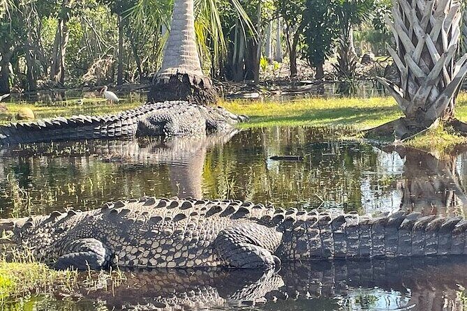 Crocodiles and Turtles Ecological Tour - Key Points