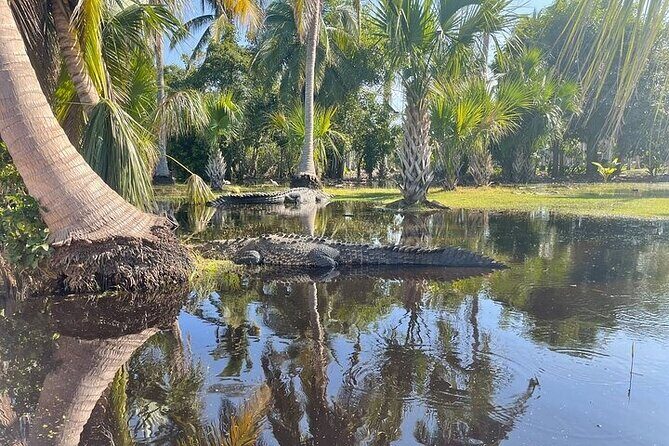Crocodiles and Turtles Ecological Tour - Practical Details and Value