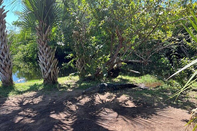 Crocodiles and Turtles Ecological Tour - Final Thoughts