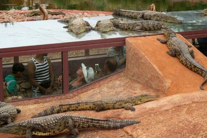 Crocoparc Trip from Agadir - FAQs