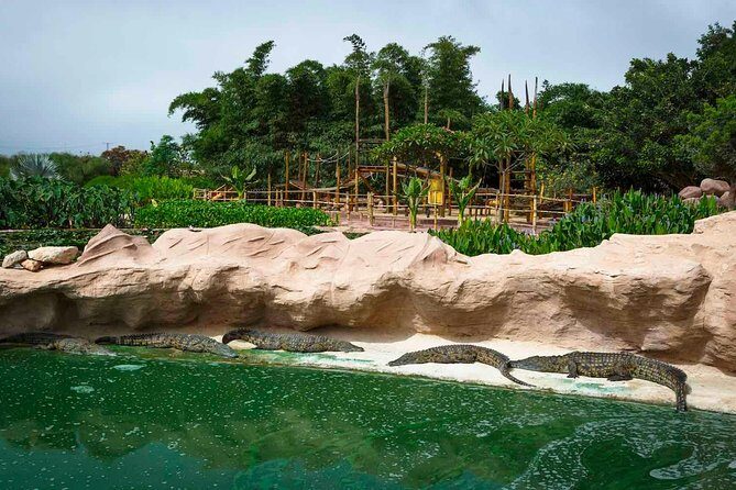 CrocoPark Visit (Transport included) - An In-Depth Look at the CrocoPark Experience