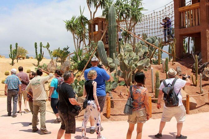 CrocoPark Visit (Transport included) - The Sum Up