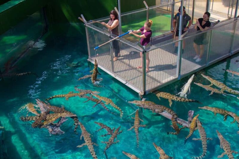 Crocosaurus Cove General Admission Ticket - What to Expect on Your Visit