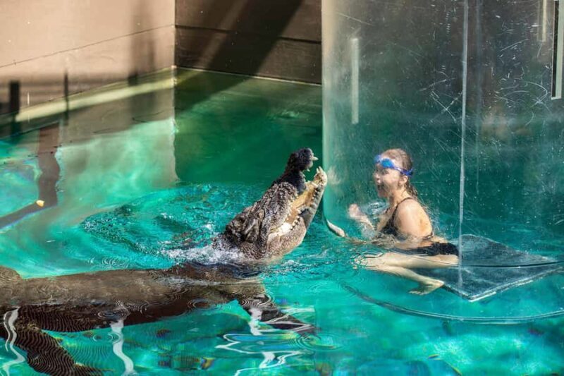 Crocosaurus Cove General Admission Ticket - Reviews and Perspectives