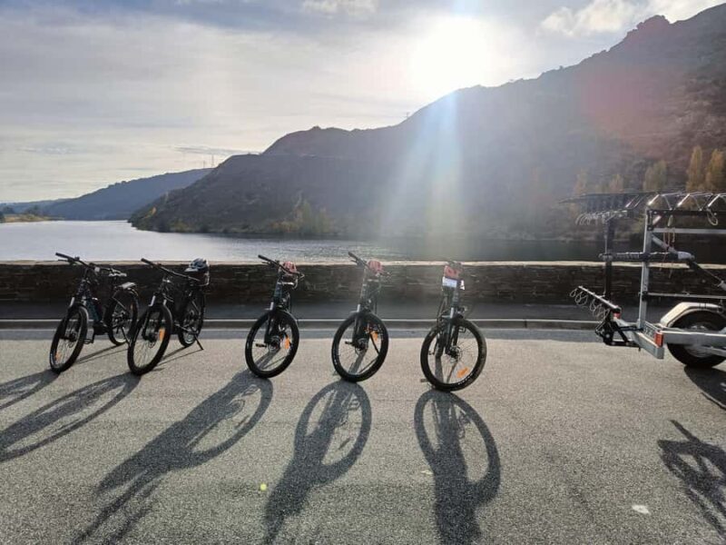 Cromwell: Lake Dunstan Trail Bike Rental and Luxury Shuttle - An Introduction to the Lake Dunstan Trail Bike Experience