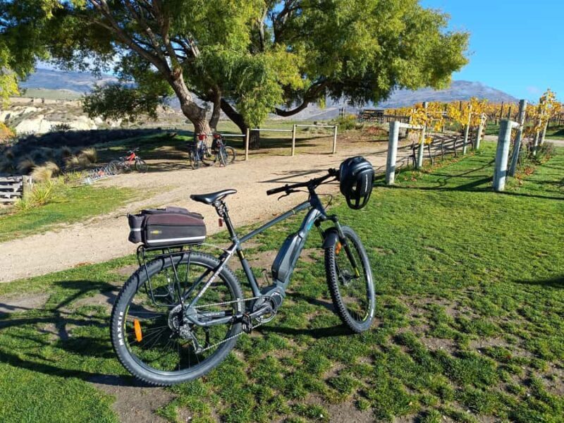 Cromwell: Lake Dunstan Trail Bike Rental and Luxury Shuttle - The Value of This Experience