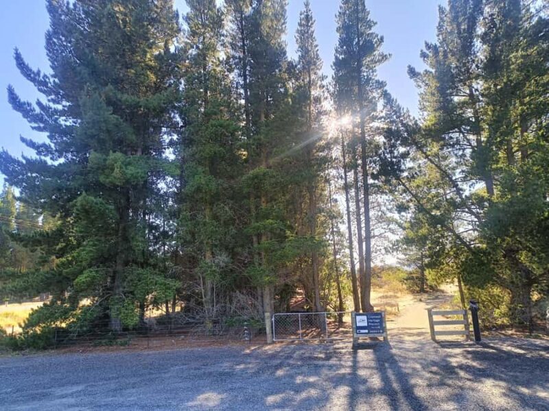 Cromwell: Lake Dunstan Trail Bike Rental and Luxury Shuttle - The Sum Up: Who Will Love This Tour?
