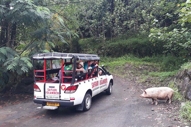 Crossing Island of Tahiti 4x4 Mountain, Waterfall, River, Basins - Final Thoughts