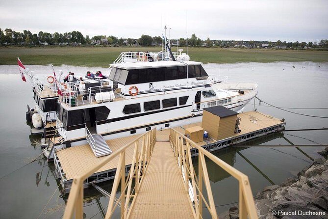 Cruise and Visit of Grosse-Ile - The Sum Up