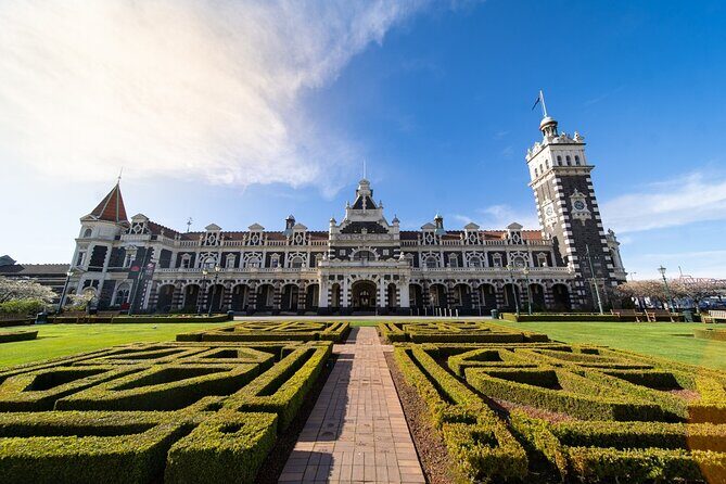 Cruise Dunedin City and Castle Tour - Why Choose the Cruise Dunedin City and Castle Tour?
