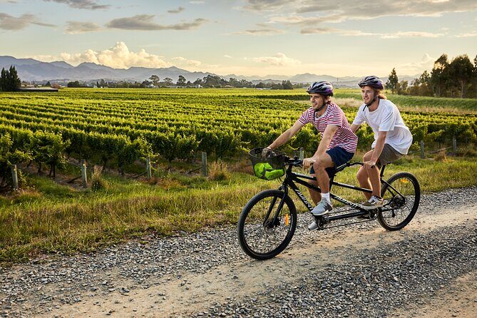 Cruise Excursion Self Guided Biking Wine Tour - A Detailed Look at the Experience