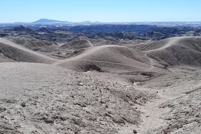 Cruise liner Special: Swakopmund and Namib Desert Highlights - Transportation and Group Dynamics