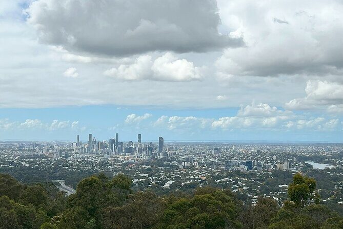 Cruise Lines Shore Tour Brisbane Highlights and Lone Pine - An In-Depth Look at the Itinerary